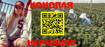 PSILOCYBIN Бугуруслан