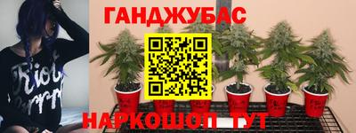 гидропоника Бузулук