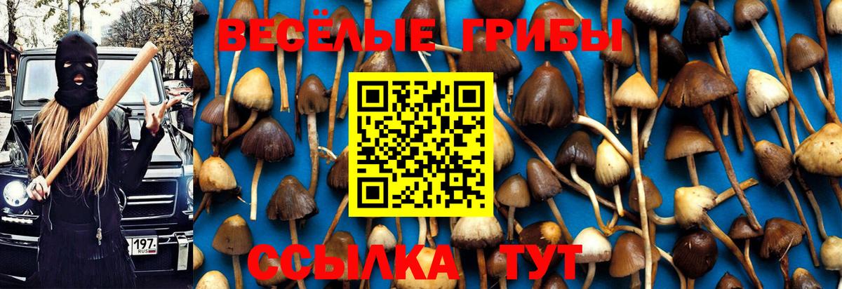 Галлюциногенные грибы GOLDEN TEACHER Приморско-Ахтарск